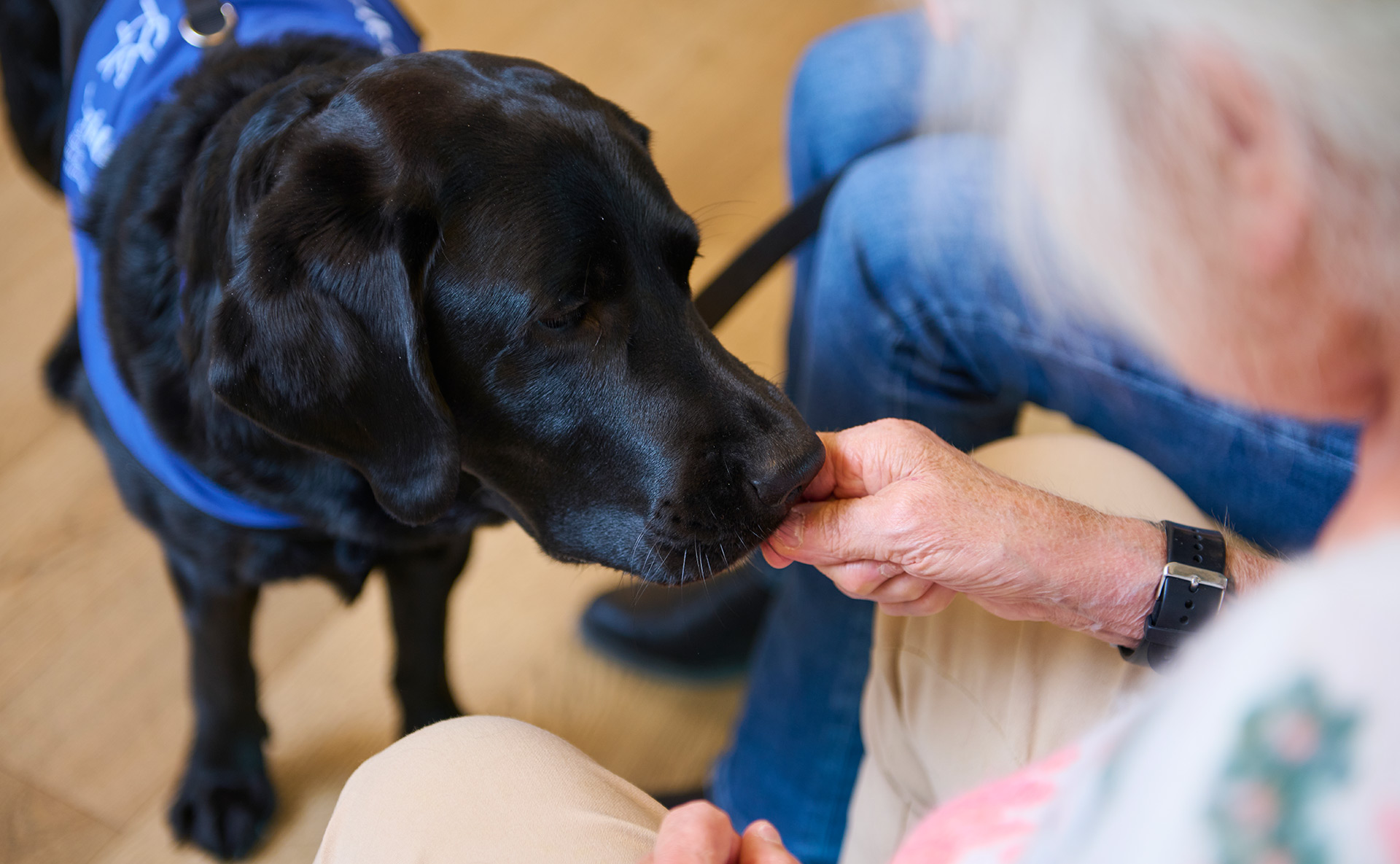 Spenden für das Landhaus Neuenegg